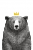 Royal Bear Variante 1